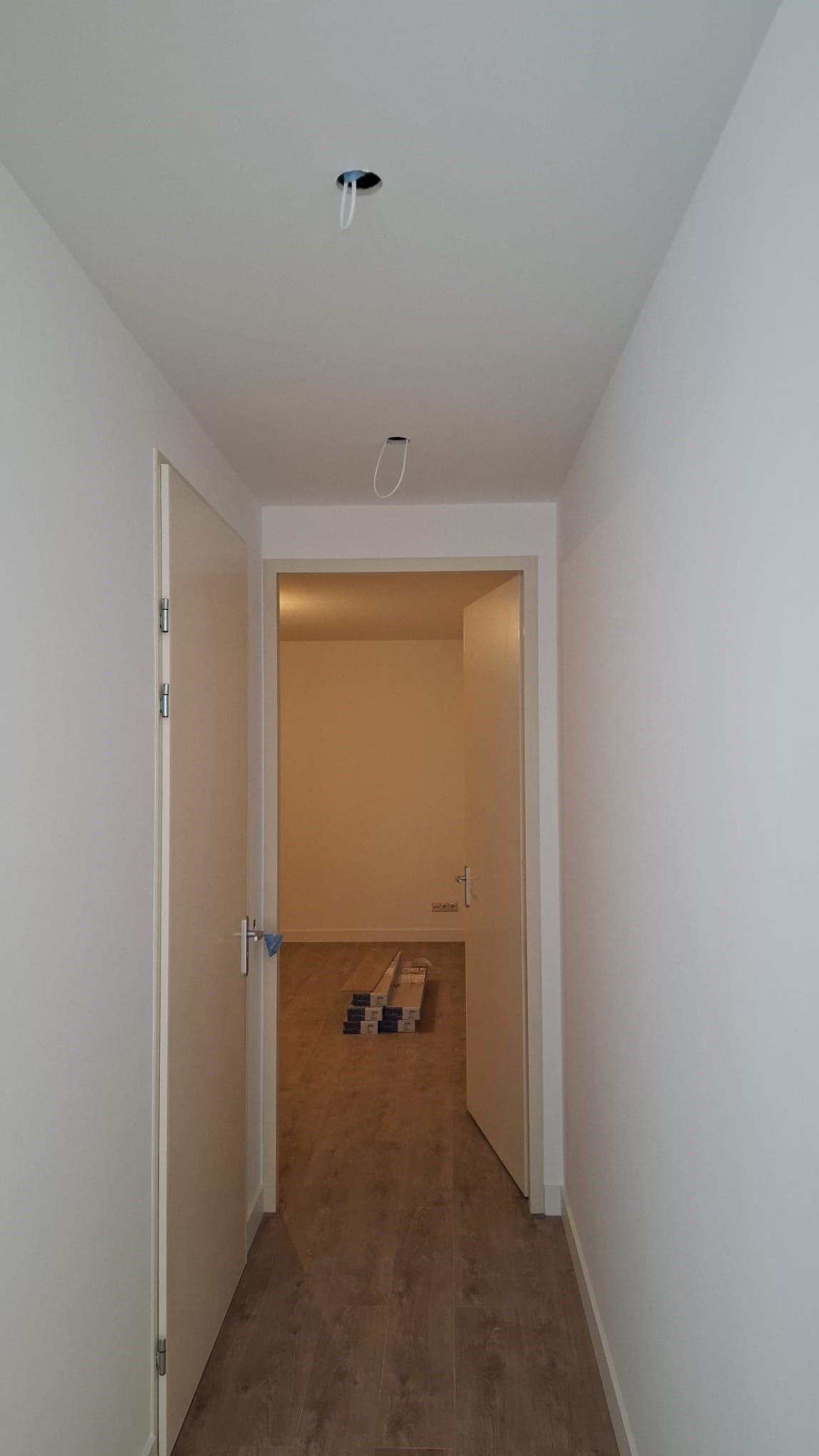 ec51b01b-ce57-4554-b137-3c1a4ff6e71c